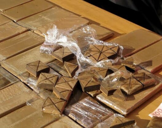 [صورة: %D9%86%D8%A8%D8%A7%D8%AA-%D8%A7%D9%84%D8...%D8%B4.jpg]