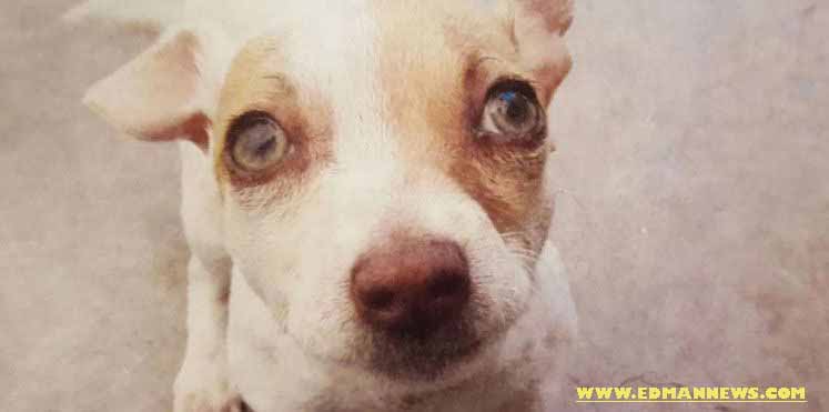 [صورة: ba493308b6.jpg]