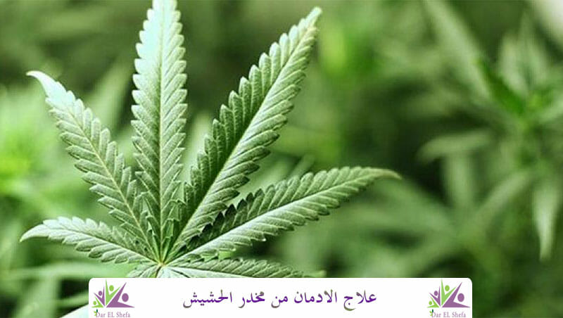 علاج الادمان من مخدر الحشيش